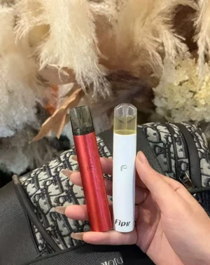 FIPY果派電子煙主機 FIPY果派電子煙主機 兩檔功率調節 通用一代煙彈 台灣現貨