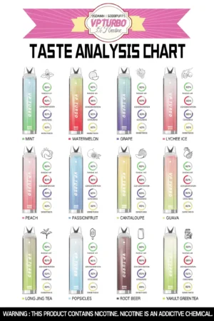 VP Turbo 6000一次性電子煙 高容量6000口拋棄式 便攜設計多口味選擇 VP Turbo 6000一次性電子煙 高容量6000口拋棄式 買一送一 台灣現貨