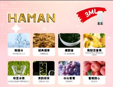 Haman 哈門煙彈|高品質口感、多樣口味推薦|台灣現貨快速出貨 3 Haman 哈門煙彈
