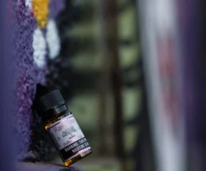 美國 RIPE VAPES煙油 生命之樹小煙油 電子煙油 RIPE VAPES 生命之樹系列:美國原裝天然果香小煙油 30ML