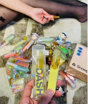 鴨嘴獸 SONW 正品鴨嘴獸拋棄式電子煙 Snowplus DASH 經典一次性煙桿 4000 口超長續航 × 7.5ml 大容量