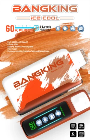 BANGKING 6OK PUFFS DSKO48 升級版 BangKing Ice Cool 60k Puffs 拋棄式電子煙 6萬口超長續航 25ml煙油 五檔涼度可調