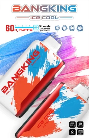 BANGKING 6OK PUFFS DSKO48 拋棄式台灣 BangKing Ice Cool 60k Puffs 拋棄式電子煙 6萬口超長續航 25ml煙油 五檔涼度可調