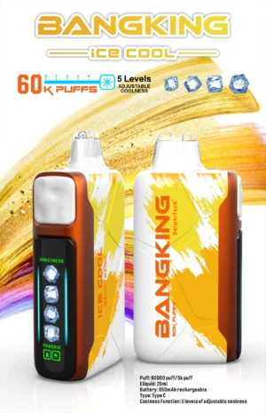 BANGKING 6OK PUFFS DSKO48 拋棄式電子煙 BangKing Ice Cool 60k Puffs 拋棄式電子煙 6萬口超長續航 25ml煙油 五檔涼度可調