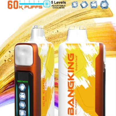 BANGKING 6OK PUFFS DSKO48 拋棄式電子煙 BangKing Ice Cool 60k Puffs 拋棄式電子煙 6萬口超長續航 25ml煙油 五檔涼度可調