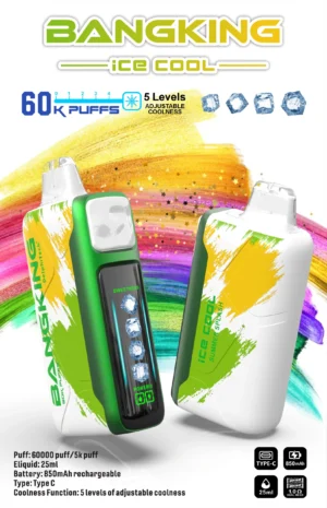 BANGKING 6OK PUFFS DSKO48 拋棄式電子煙圖 BangKing Ice Cool 60k Puffs 拋棄式電子煙 6萬口超長續航 25ml煙油 五檔涼度可調