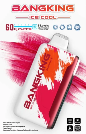 BANGKING 6OK PUFFS DSKO48 電子煙 BangKing Ice Cool 60k Puffs 拋棄式電子煙 6萬口超長續航 25ml煙油 五檔涼度可調