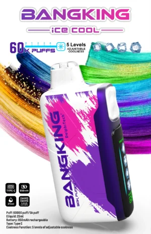 BANGKING 6OK PUFFS DSKO48 電子煙產品圖 BangKing Ice Cool 60k Puffs 拋棄式電子煙 6萬口超長續航 25ml煙油 五檔涼度可調