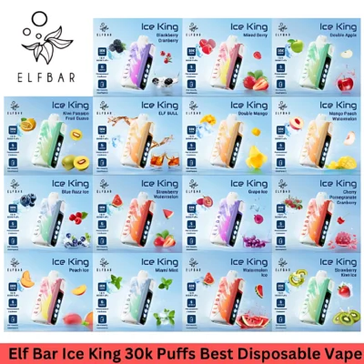 elfbar ice king 拋棄式可調冰電子煙 ElfBar Ice King 30K Puffs 拋棄式電子煙 30k口超長續航 5 級冷卻調節 王嘉爾同款